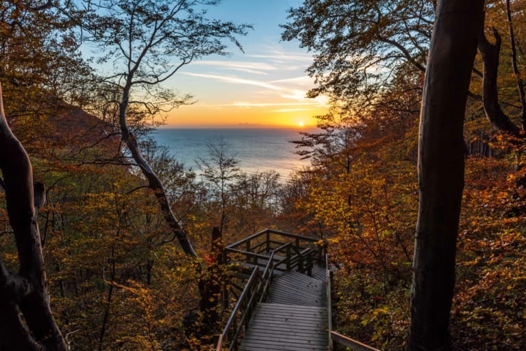 Les escaliers d'accès au pied des falaises de Møn