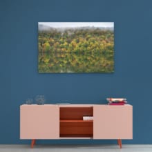 automne-jurassien-dibond