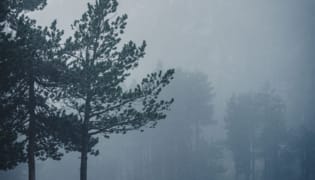 Jour de pluie Jour de pluie