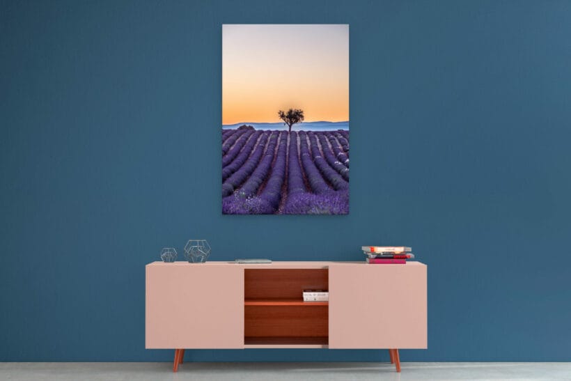 lavande-plateau-valensole-arbre-dibond