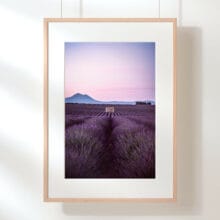 cabane-lavande-valensole-cadre