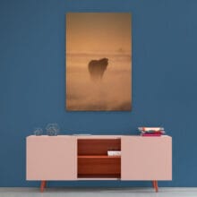 cheval-islandais-tempete-dibond